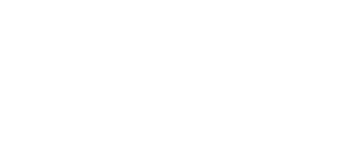 Emir Group