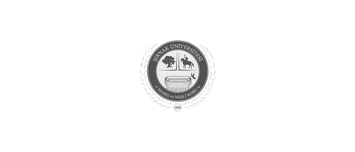 Şırnak Üniversitesi